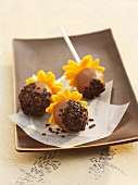 Cake pops decorated to look like sunflowers
