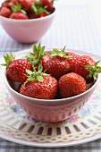 Fresh strawberries in a bowl