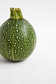 Single spherical courgette against white