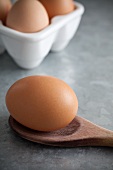 Free range egg on a wooden spoon