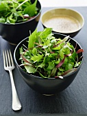 Mixed leaf salad with elderflower vinaigrette