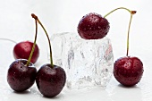 Sweet cherries and an ice cube