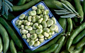 A plate of broad beans on top of bean pods