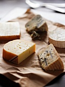 Various types of cheese on paper