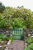 Romantischer Cottagegarten mit Rosenbogen über Natursteinmauer mit blauem Gartentor