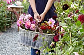 Frau hält Korb mit Sommerblumen im Garten