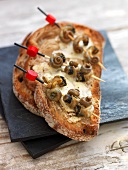 A toasted slice of bread with butter, Camembert and snails