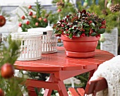 Roter Holztisch mit weissen Körbchen und Scheinbeere in einem roten Blumentopf