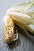 A corn cob with leaves and cornsilk