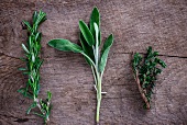 Fresh rosemary, sage and thyme on a wooden surface