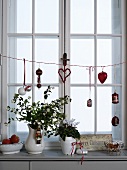 Vintage vases of flowers on window sill with Christmas decorations