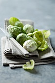 Fresh Brussels sprouts with a knife on a linen cloth