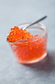Salmon caviar in a jar with a spoon