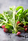 Radish tops with leaves