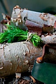 A Bundle of Fresh Dill with a Vintage Herb Chopper on a Pile of Wood