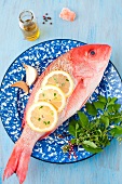 Whole Red Snapper with Fresh Herbs and Lemon Slices on a Blue and White Plate