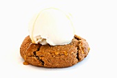 An Oatmeal Cookie Topped with a Scoop of Vanilla Ice Cream and Drizzled with Honey