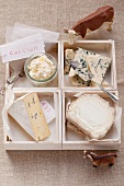 Assorted types of cheese with a sign reading 'calcium'