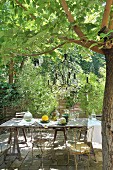 Rustikaler Tisch mit Vintage Metallstühlen unter Baum mit aufgehängtem Kerzenleuchter in mediterranem Garten