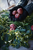 Weihnachtsgesteck aus Tannenzweigen, roten Äpfeln und Mistelzweigen gestalten