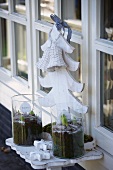 Hyacinths and festive window decoration