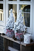 Weihnachtsdeko vor dem Terrassenfenster: Mini-Nadelbäume, Windlicht und Pinienzapfen