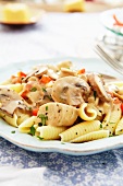 Chicken a la King with noodles, mushrooms and creamy sauce