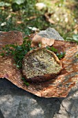 Breaded and fried parasol mushroom