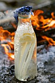 Asparagus cooking in a bottle; in the background an open fire