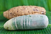 A green radish, with a maranta root in the background