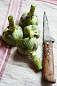 Artichoke stalks and a knife