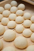 Balls of dough for making Lebanese bread