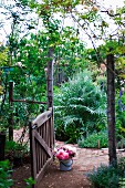 Bouquet in bucket standing in open wooden gate in wire fence leading to wild cottage garden