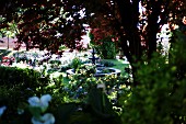 View through bushes of fountain in landscaped garden with flowering plants