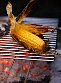 Corn on the cob on a barbecue
