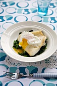 Haddock on a Bed of Wilted Spinach Topped with a Poached Egg
