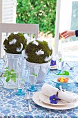 Balls of moss with white feathers in flower pots as centrepiece of Easter table