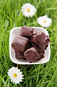 Filled chocolates on artificial grass