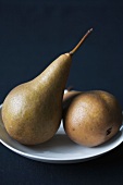 Two Bosc Pears on a White Plate; Black Background