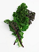 Leaves of kale