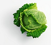 A savoy cabbage