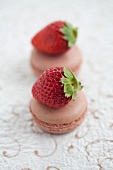 Chocolate macaroons each topped with a fresh strawberry