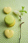 Lime macaroons, heart-shaped lemon macaroons and a willow catkin