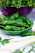 A table of vegetables with green peppers in a ceramic bowl and spring onions, in front of a bowl of salad