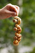 A hand holding a barbecued Bavarian sausage kebab