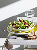 Mixed salad leaves with white bread