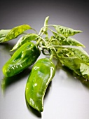 Fresh green chillies with leaves