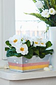 Loaf tin used as planter for primulas