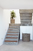 Beton Treppe mit Holz Trittstufen und Palme im Topf auf Treppenpodest