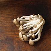 Fresh brown shimeji mushrooms on a wooden surface